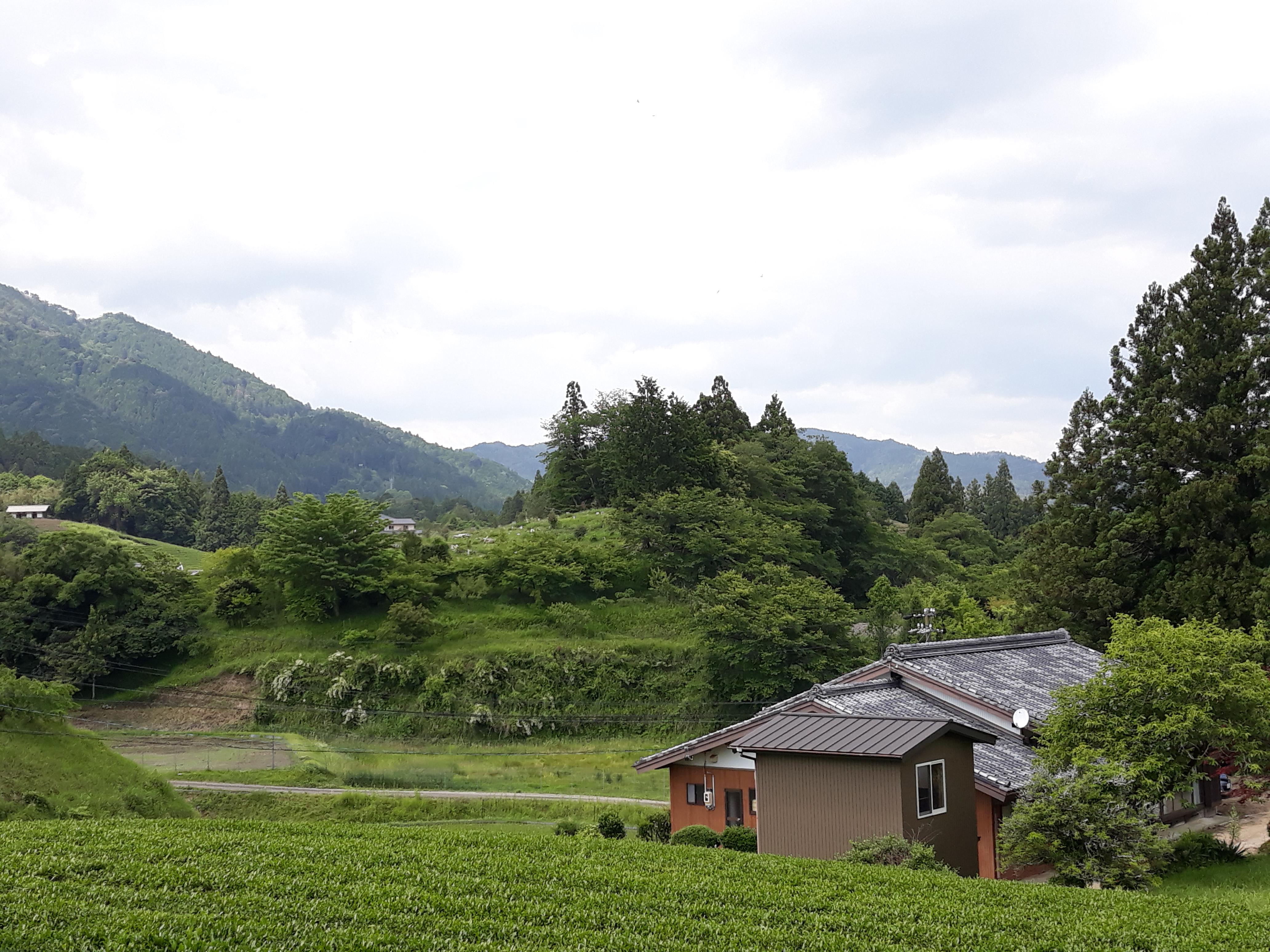 Mon Top 6 des jardins japonais  Ichiban Japan - Découvrir